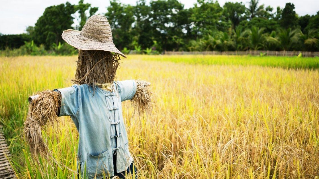 How #NoEstimate proponents use the straw man fallacy